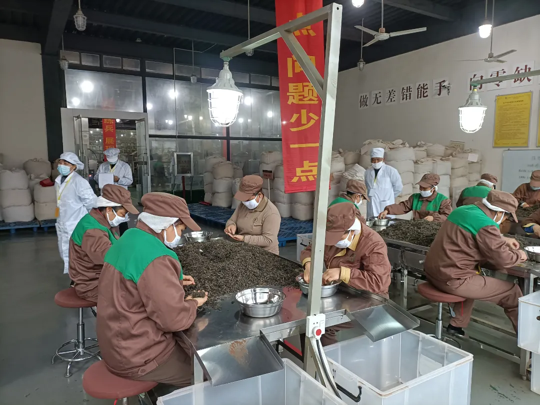 精益求精·铸造品质|六大茶山第十四届技术大比武圆满完成