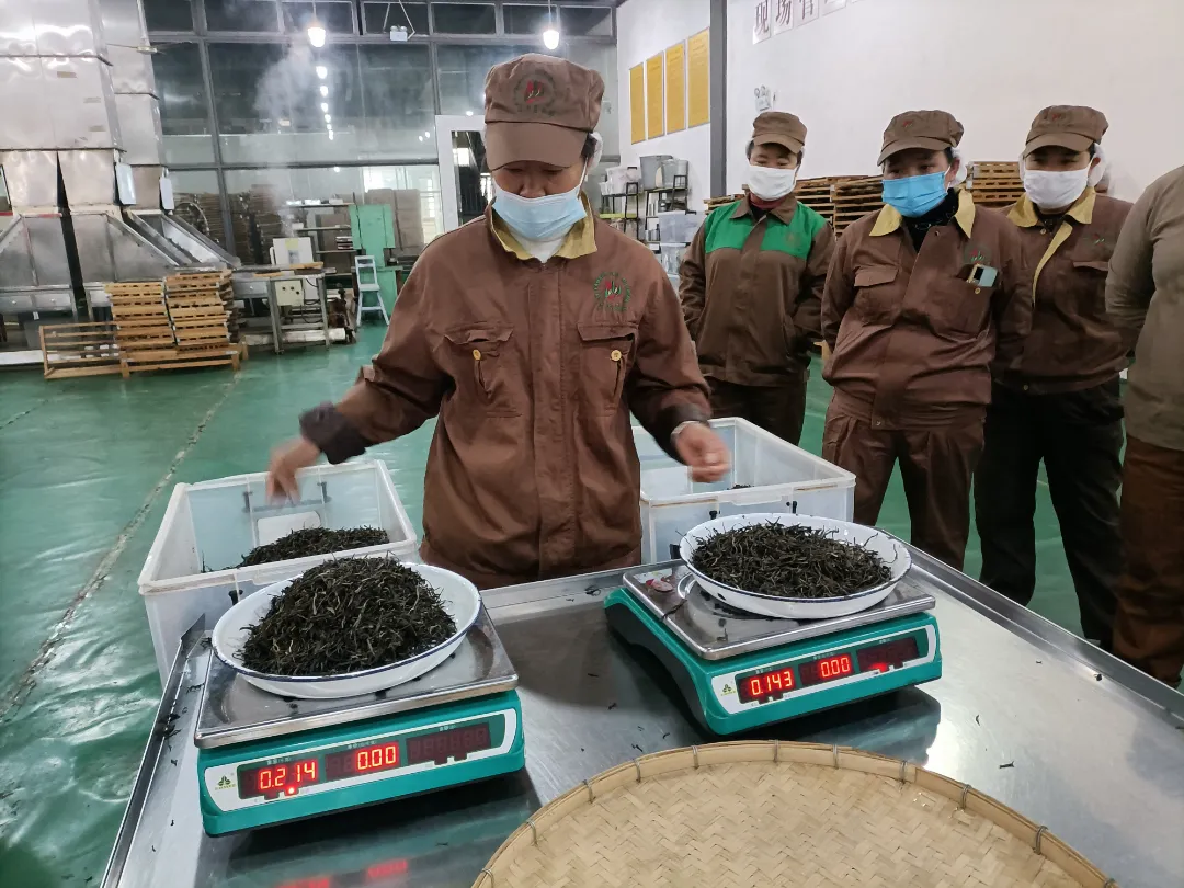 精益求精·铸造品质|六大茶山第十四届技术大比武圆满完成