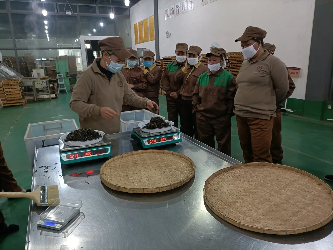 精益求精·铸造品质|六大茶山第十四届技术大比武圆满完成