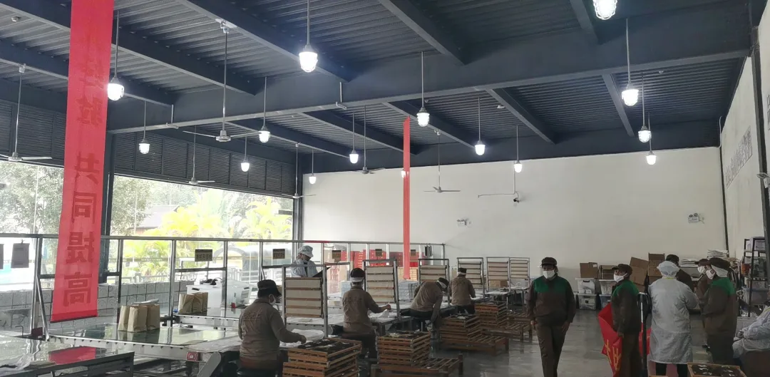 精益求精·铸造品质|六大茶山第十四届技术大比武圆满完成