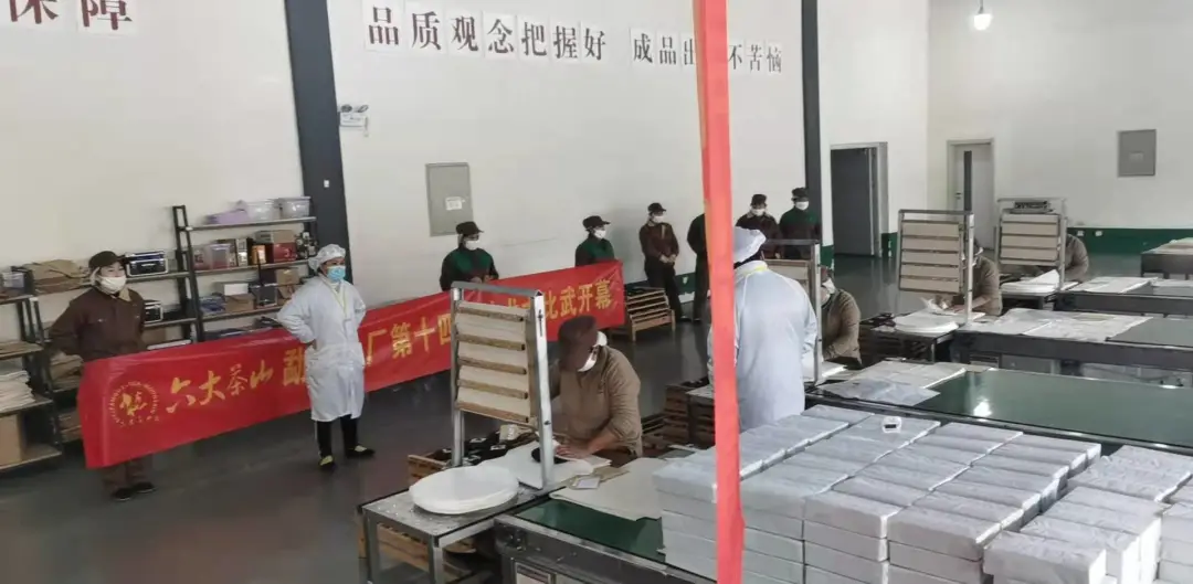 精益求精·铸造品质|六大茶山第十四届技术大比武圆满完成